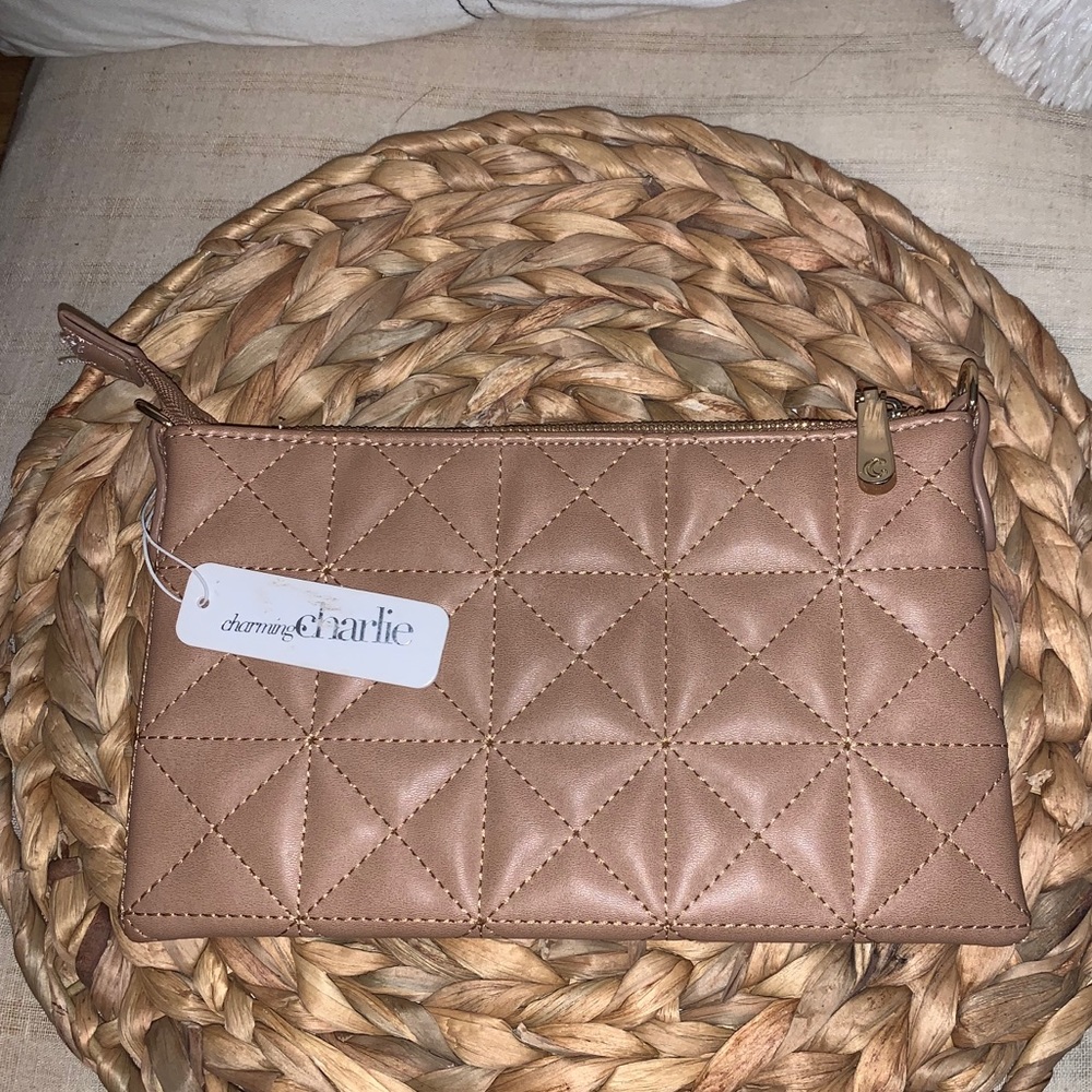 Charming Charlie clutch bag